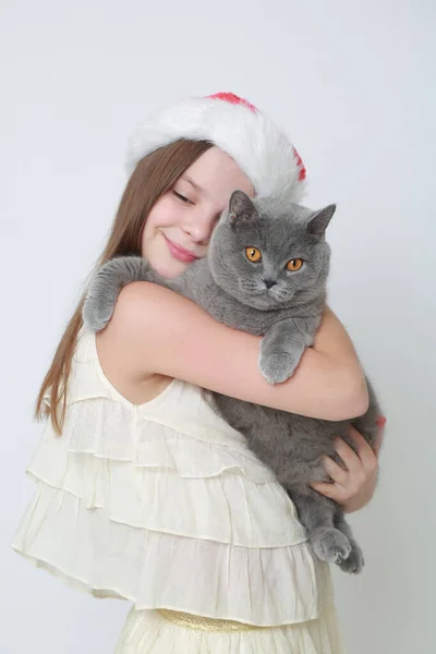 Miss Santa Cat — Stock Photo, Image