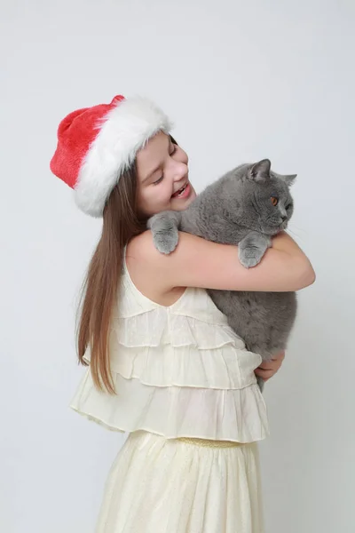 Bayan Noel Baba Bir Kedi — Stok fotoğraf