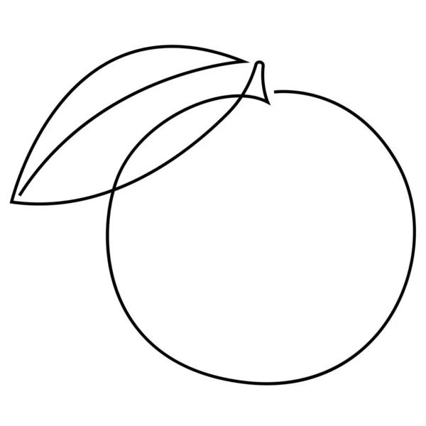 Orange fruit illustration. One continuous line minimal style vector — Stock Vector