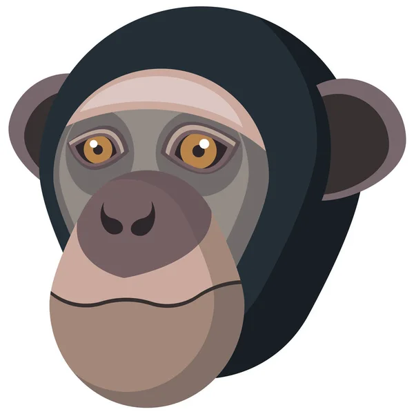 Chimpansee portret gemaakt in unieke eenvoudige cartoon stijl. Hoofd van de aap. Geïsoleerd icoon voor uw ontwerp — Stockvector