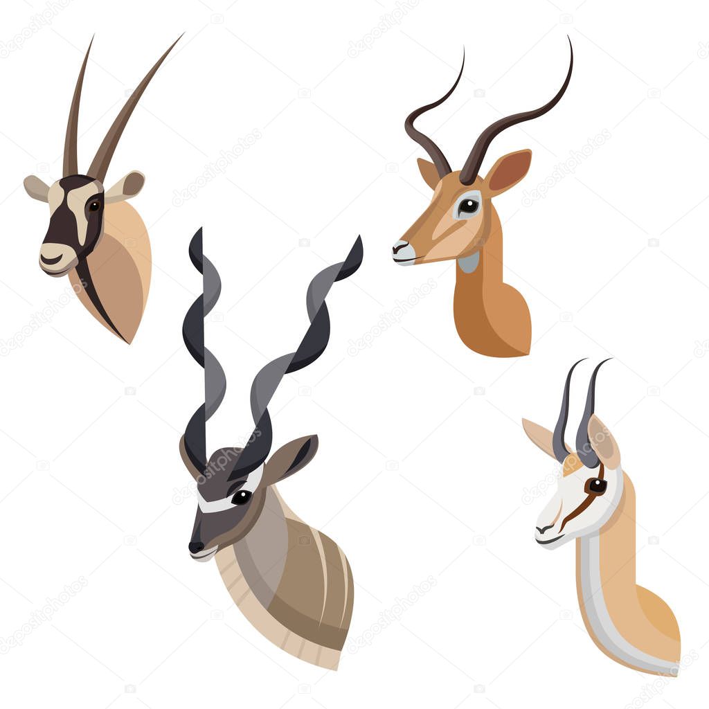African antelope or gazelle portrait set made in unique simple cartoon style. Heads of gemsbok, greater kudu, impala and springbok. Isolated artistic stylized icon or logo for your design