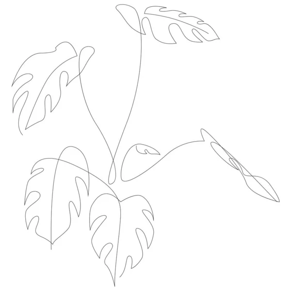 Monstera leaf line art. 순회그리기. 미니멀리즘은 예술입니다. 현대의 데코 — 스톡 벡터