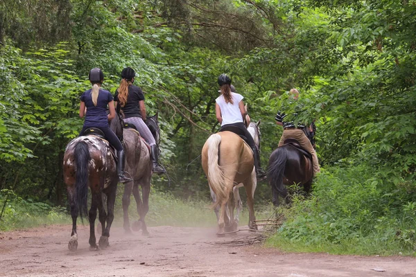 Grupo de amigos montando cavalos na floresta — Fotografia de Stock