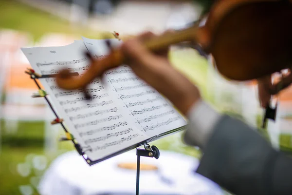 Żeńskiej skrzypek grać swój instrument i czytać nuty — Zdjęcie stockowe