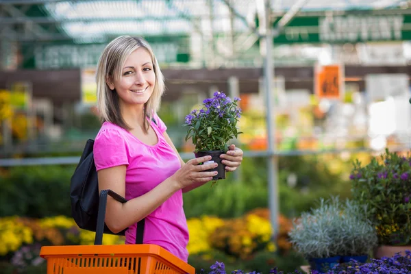 Mladá žena nákup květin v zahradnictví — Stock fotografie