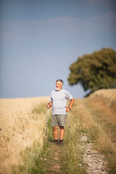 Actif beau senior homme nordique marche à l'extérieur — Photo