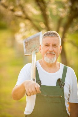 Portrait of a handsome senior man gardening in his garden clipart
