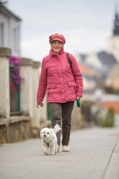 Frau geht mit ihrem kleinen Hund auf einer Straße in der Stadt spazieren — Stockfoto