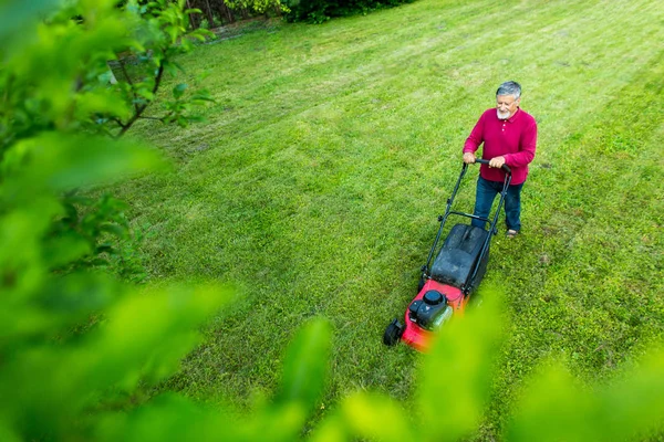 Senior mäht seinen Garten — Stockfoto