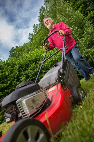 Старший человек стрижет газон — стоковое фото
