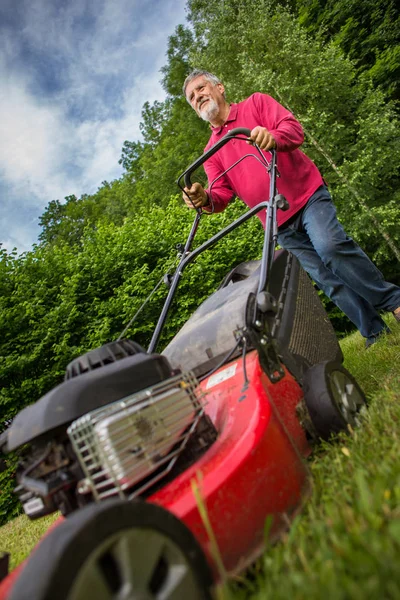 Senior man mowing the lawn Stock Picture