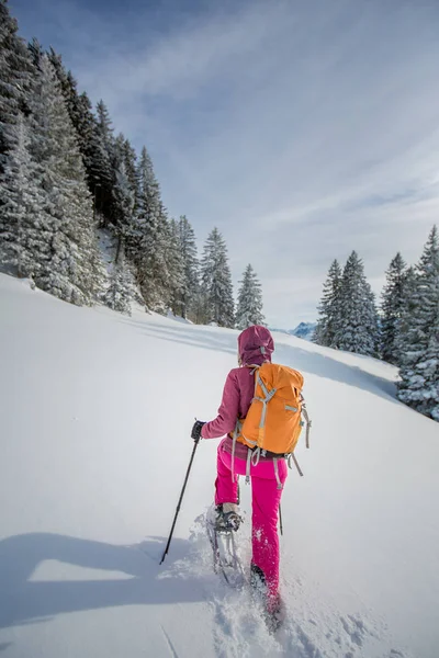 Pretty, young woman snowshoeing in high mountains — Stock Photo, Image