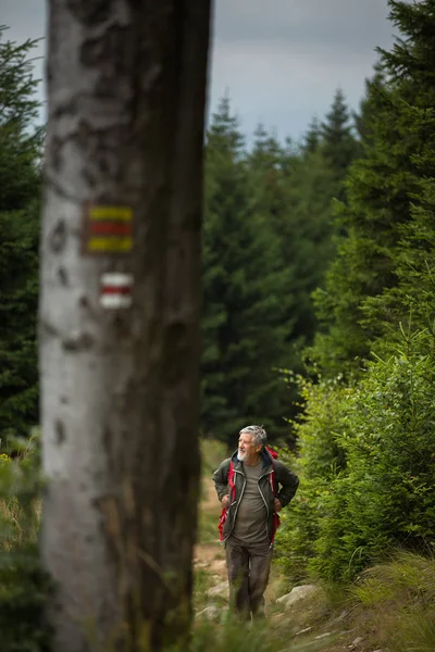 Aktive Senioren wandern im Hochgebirge — Stockfoto