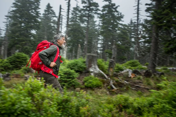 Caminhadas seniores ativas em altas montanhas — Fotografia de Stock