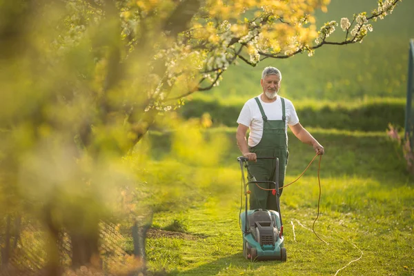 Ανώτερος άνθρωπος κούρεμα του γκαζόν στον κήπο του — Φωτογραφία Αρχείου