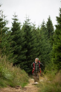 Aktif kıdemli yüksek dağlarda hiking 