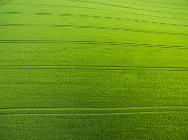 Tarım arazileri yukarıda - under yeşil yemyeşil bir hava resmi