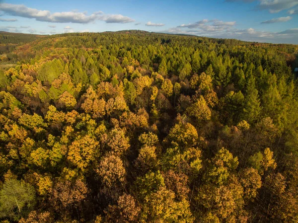 Aerial view of forests — Stock Photo, Image