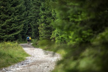 Hiking - bir güzel Alp orman yolundan gidiyor insanlar