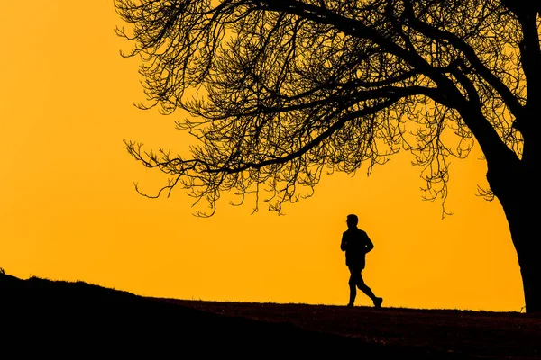 Silhouette of a  young man running outdoors — Stock Photo, Image