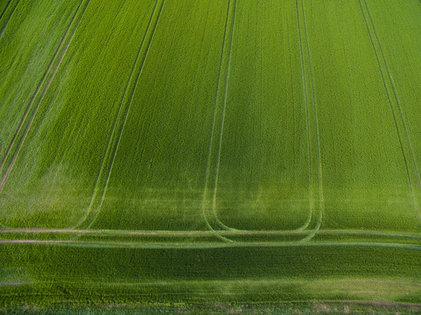 Terras agrícolas de cima - imagem aérea de um verde exuberante arquivado — Fotografia de Stock