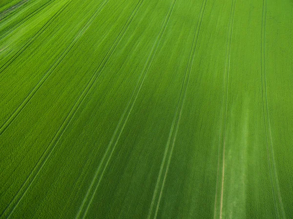 Farmland from above - aerial image of a lush green filed — Stock Photo, Image