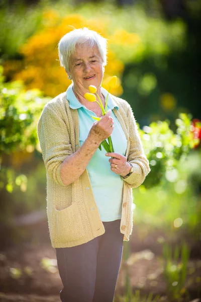 Пожилая женщина занимается садоводством в своем прекрасном саду - поливает — стоковое фото