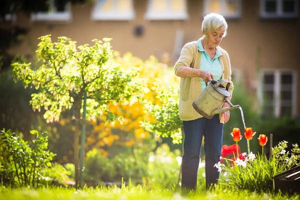 Mujer mayor haciendo jardinería en su precioso jardín — Foto de Stock