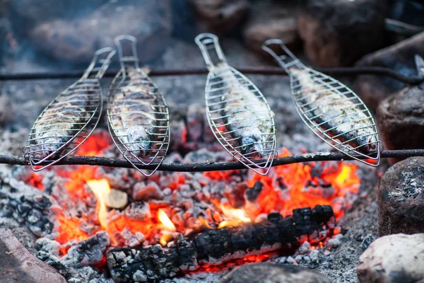 Grilování ryb na ohni — Stock fotografie
