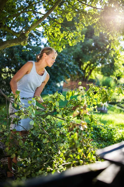 Bonita, joven jardinería en su jardín, cortar ramas — Foto de Stock