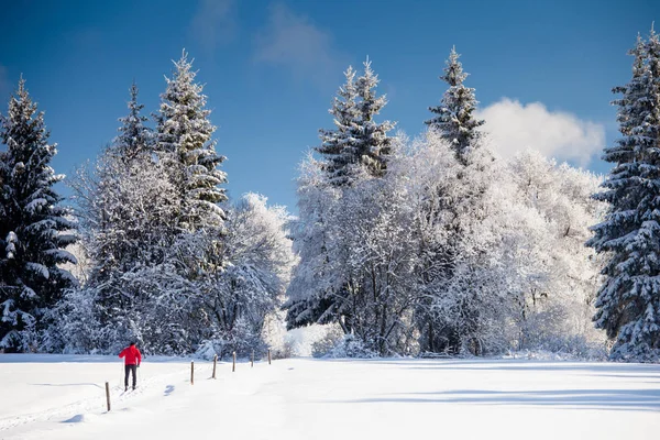 Cross-country skiing: young man cross-country skiing on a lovely — Stock Photo, Image