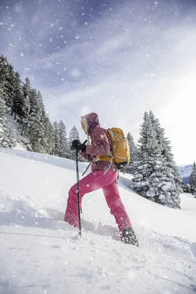 Vacker, ung kvinna snöskor i höga berg — Stockfoto