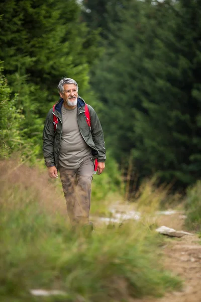 Aktif kıdemli yüksek dağlarda hiking — Stok fotoğraf