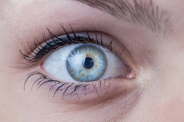 Крупный план красивого голубого глаза женщины — стоковое фото