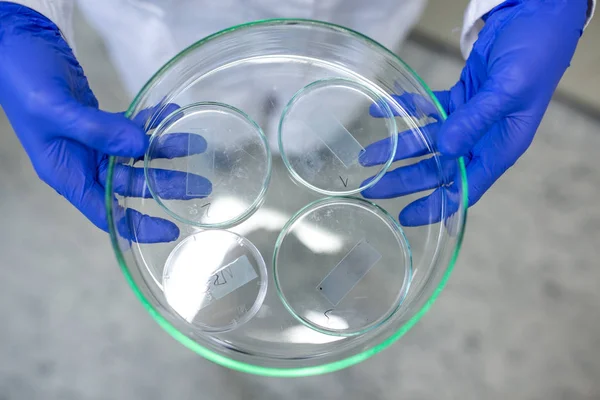 Hands of a female researcher carrying out research in a chemistr — Stock Photo, Image