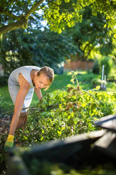 Bonita, joven jardinería en su jardín —  Fotos de Stock