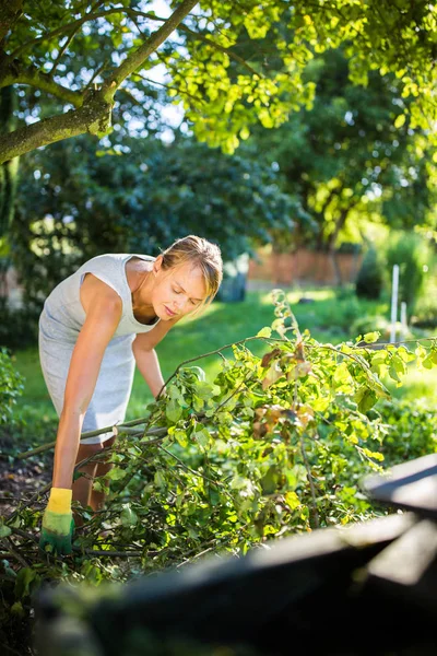 Досить, молода жінка садівництво в саду, розрізання гілок — стокове фото