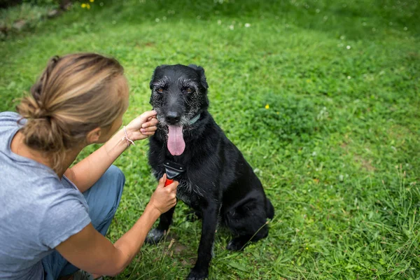 Jeune femme peigner la furof hew chien noir — Photo