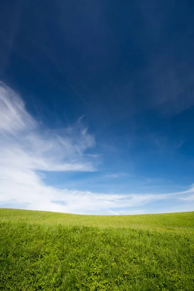 Прекрасне літнє поле з блакитним небом — стокове фото