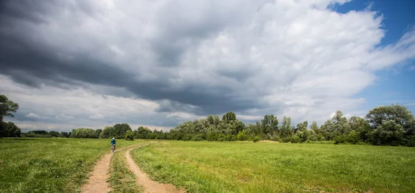 Горные велосипедистки на велосипеде в летнем пейзаже — стоковое фото