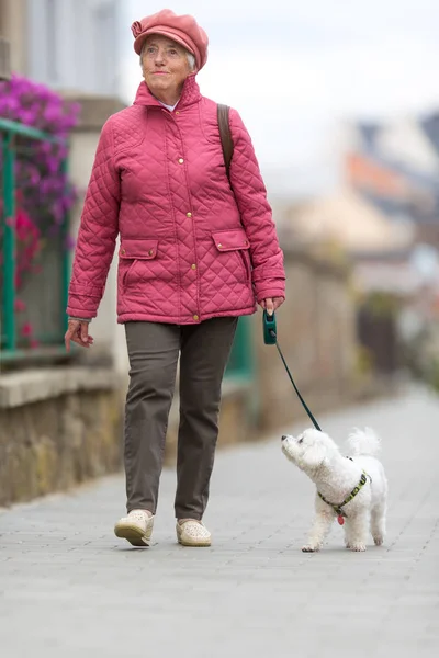 Старшая женщина выгуливает свою маленькую собачку на городской улице — стоковое фото