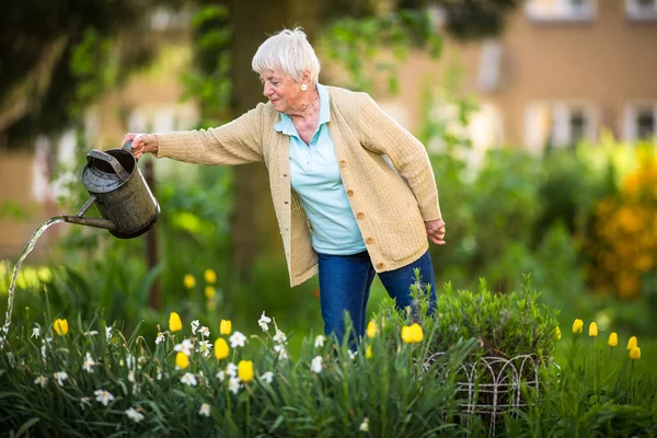 Donna anziana facendo un po 'di giardinaggio nel suo bel giardino — Foto Stock