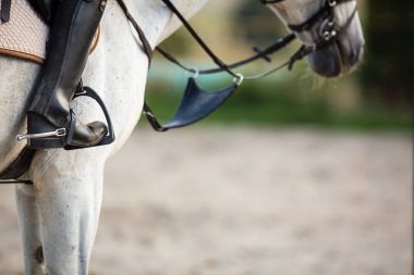  Horseback binici, kadın bir binicilik 