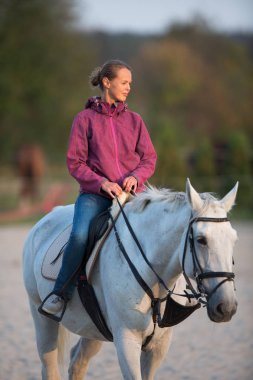  Horseback binici, kadın bir binicilik