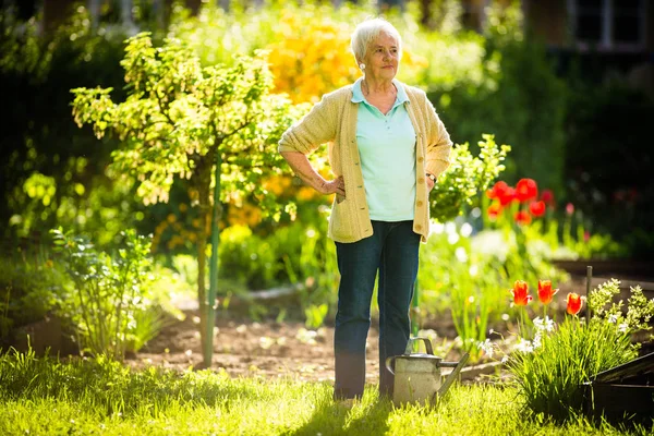 Donna anziana facendo un po 'di giardinaggio nel suo bel giardino — Foto Stock