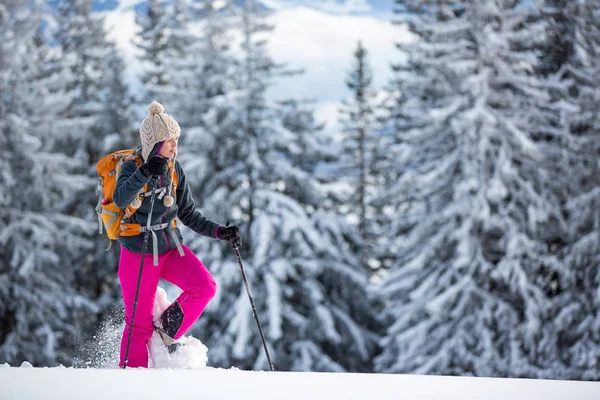 Bonita, jovem mulher snowshoeing em altas montanhas — Fotografia de Stock
