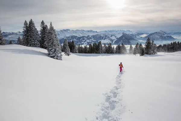 かなり 若い女性 高山でスノーシュー雪の豊富な立派な冬の天候を楽しむ — ストック写真