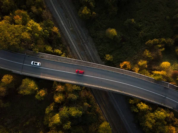 Camino sinuoso en el bosque de otoño al atardecer en las montañas — Foto de Stock