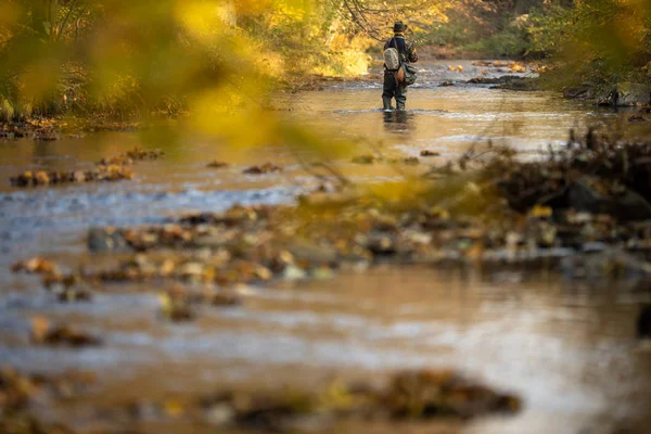 Pescatore a mosca che tiene una bella trota mentre pesca a mosca su uno splendido fiume di montagna — Foto Stock