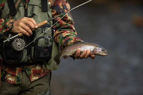 Vue Rapprochée Des Mains Pêcheur Mouche Tenant Une Belle Truite — Photo